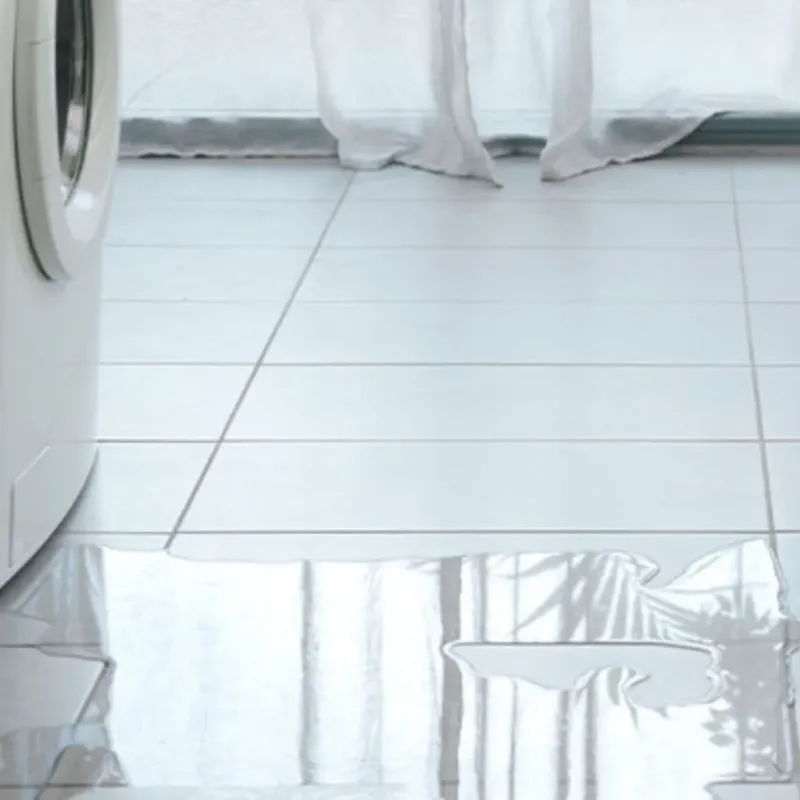 Appliance Leak Cleanup in Palm Valley, TX