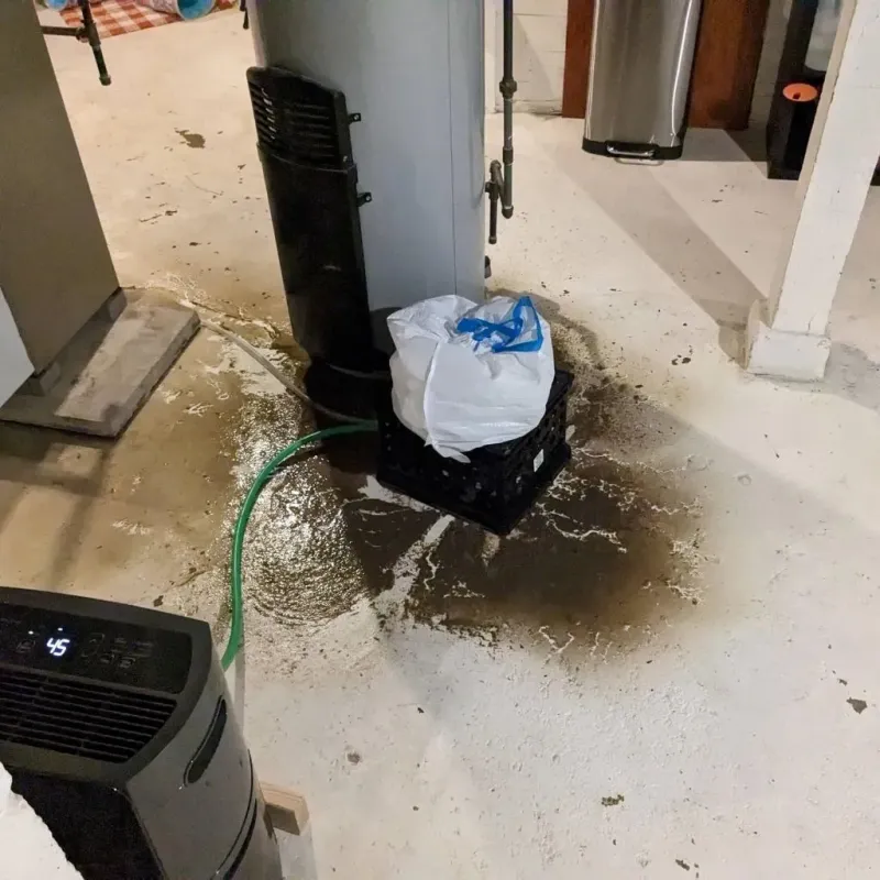 Sewage Backup Cleanup Service in Palm Valley, TX